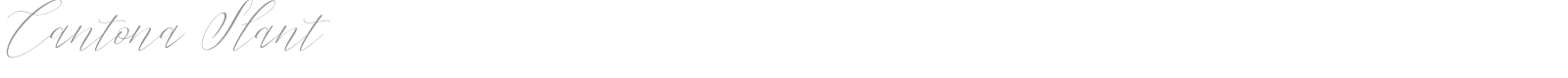 Cantona Slant font preview